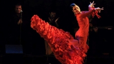   Esencia flamenca